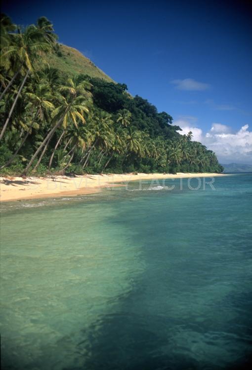 Island;fiji;blue water;Palm trees;Blue skys;ocean